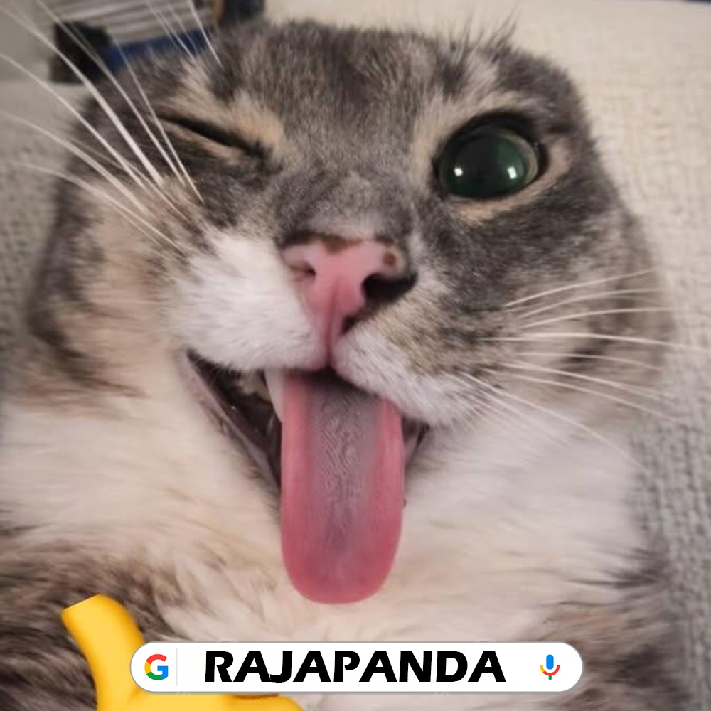 RAJAPANDA